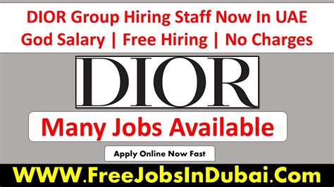 dior remote jobs|Dior job opportunities.